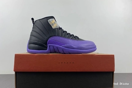 739 Jordan CT8013-057 Retro 12 EasyMatch Air 0731